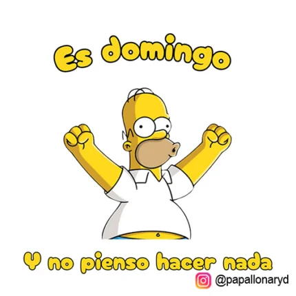 Camiseta Homer Simpson